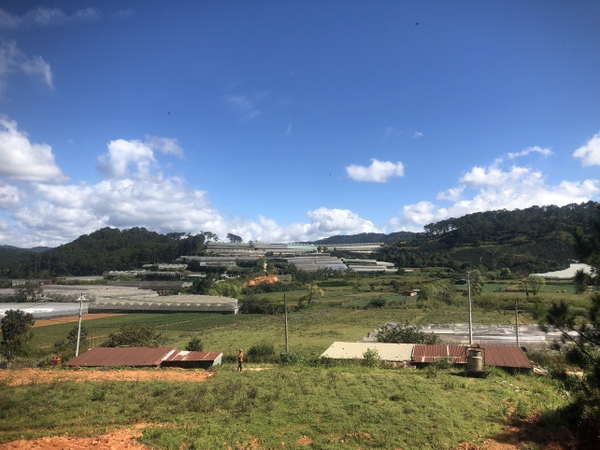 CƠ HỘI SỞ HỮU ĐẤT NÔNG NGHIỆP VIEW THOÁNG TẠI ĐẠ SAR - LÂM ĐỒNG