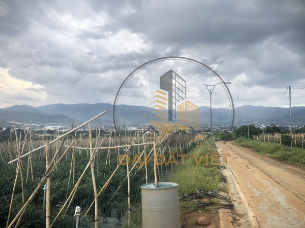 Bán Khu Đất Xây Dựng View Thị Trấn Nam Ban Huyện Lâm Hà.