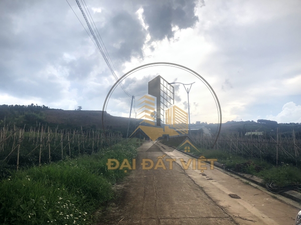 Bán Khu Đất Xây Dựng View Thị Trấn Nam Ban Huyện Lâm Hà.