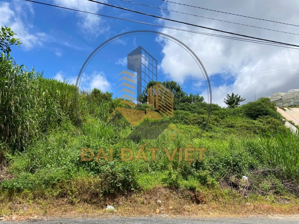 Bán đất xây Villa View đẹp Tô Hiệu, P7, Đà Lạt