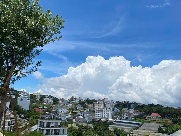 Sở hữu căn Villa View đẹp Trịnh Hoài Đức, P11, Đà Lạt