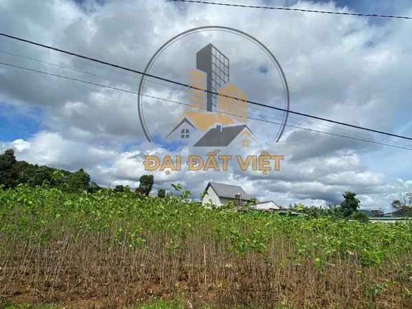 Đất ở View đẹp đối diện chùa Linh Ẩn Nam Ban, Lâm Hà.