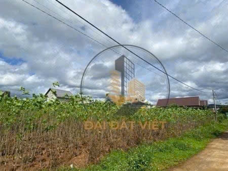 Đất ở View đẹp đối diện chùa Linh Ẩn Nam Ban, Lâm Hà.