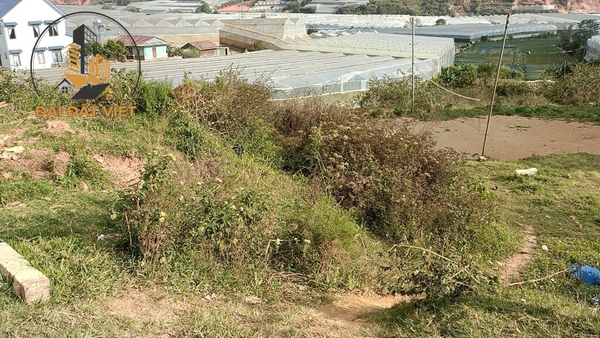 Bán Đất View Đẹp Thông Thoáng Thị Trấn Lạc Dương