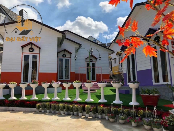 Bán Khu Homestay Đường Trạng trình, P9, Đà Lạt