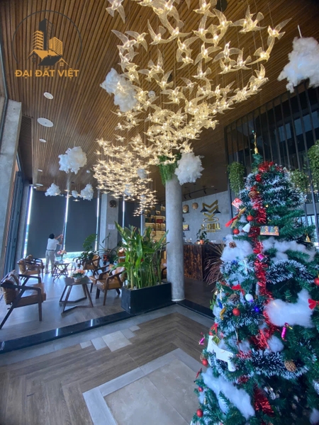 Bán Căn Villa Thiết Kế Sang Trọng Đường Hoàng Văn Thụ, P5, Đà Lạt