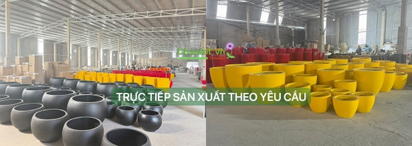 Chậu Tốt