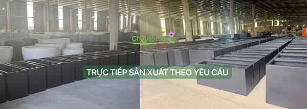 Chậu Tốt