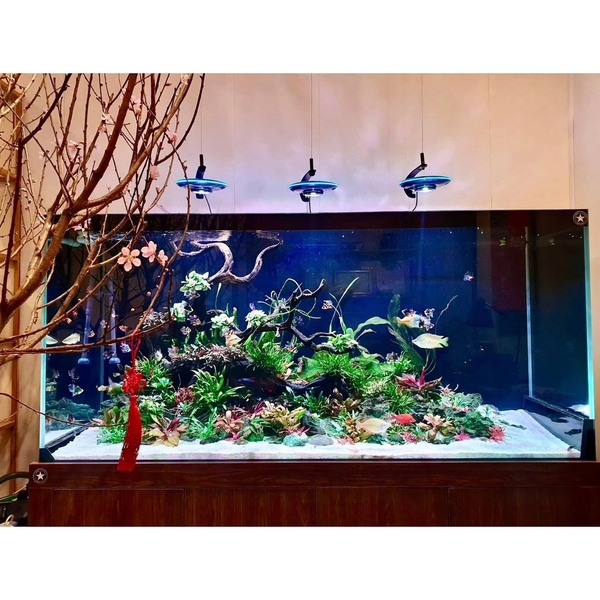 Cát MIX DAU AQUARIUM siêu sạch cho bể thuỷ sinh (1kg, 2kg, 5kg)