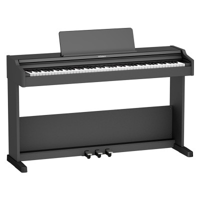 roland-rp-107
