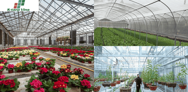 Applications Of Flower Trellis Tarps In Your Garden