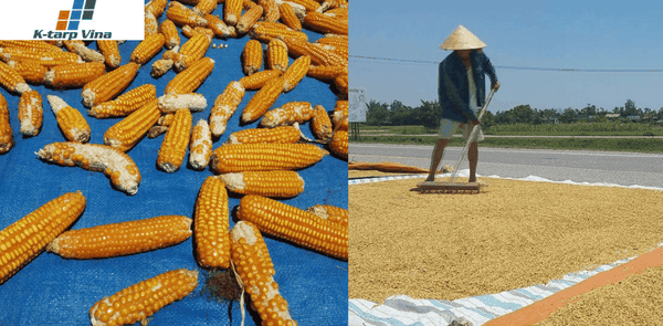 How To Choose And Use Agricultural Drying Tarp Rolls Effectively