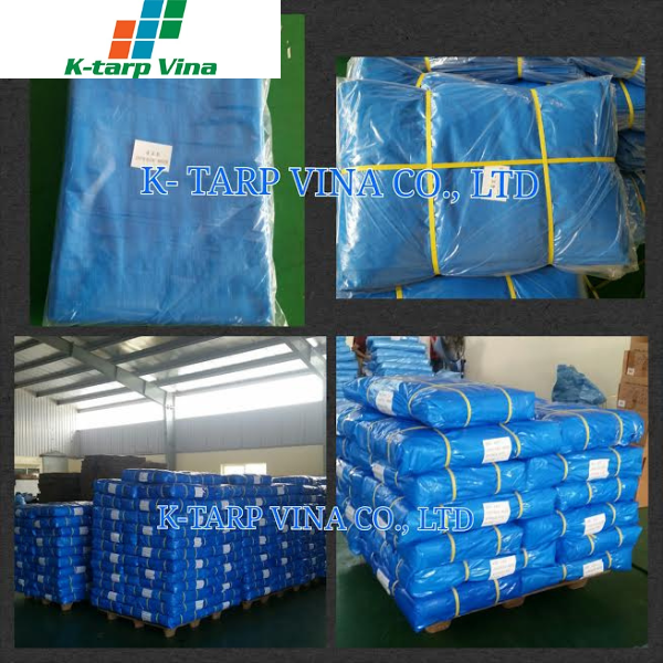 Price and Reputable Brands