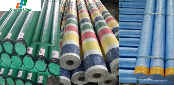 Size and Color Variety