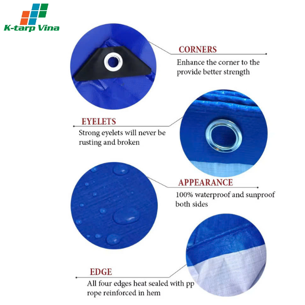 Size and Customization