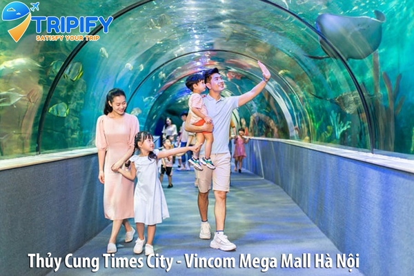 Thủy cung Times City – Khám phá đại dương kỳ diệu giữa lòng Thủ đô Hà Nội