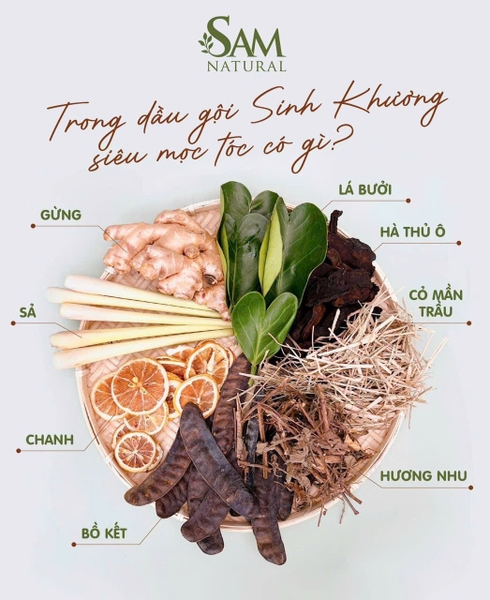Bộ dầu gội gừng, dưỡng sinh 3 sản phẩm Sam Natural Sinh Khương