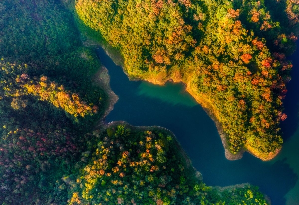 Hồ Bản Viết Cao Bằng mùa phong thay lá