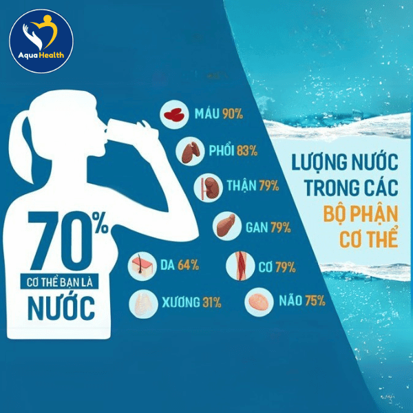 Mốc thời gian uống nước