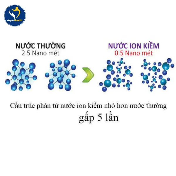 So sánh nước điện giải ion kiềm và nước máy về khả năng hấp thụ
