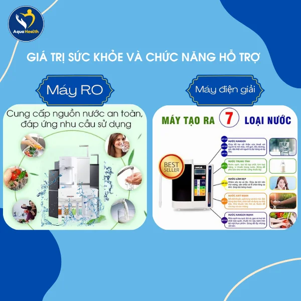 Giá Trị Sức Khỏe Và Chức Năng Hỗ Trợ