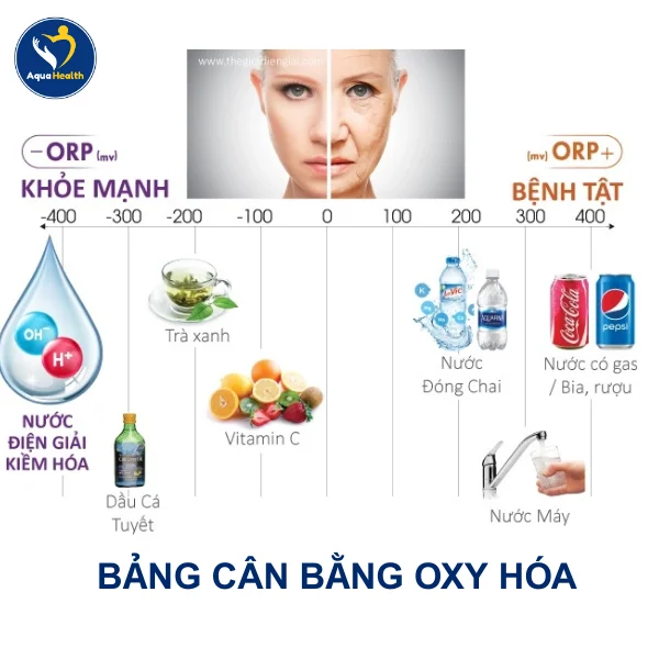 So sánh nước điện giải ion kiềm và nước máy về khả năng chống oxy hóa