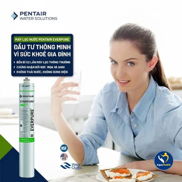 Lõi lọc nước Pentair Everpure MC2 - Khả năng khử mùi Clo vượt trội