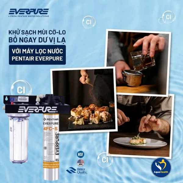 Máy lọc nước Pentair Everpure 4FC-S- Khử Clo vượt trội