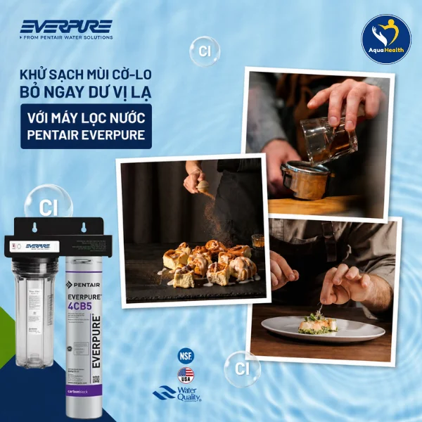 Máy lọc nước Pentair Everpure 4CB5 - Khử mùi Clo vượt trội