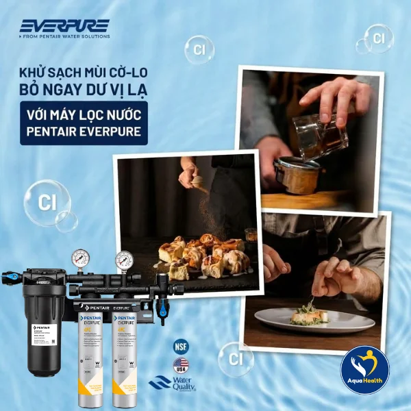 Máy lọc nước Pentair Everpure QC7I PF QC7I Twin 4FC - Khử triệt để Clo dư và giữ độ trong cho đồ uống