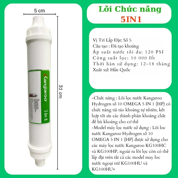 Lõi 5 In 1 – T33_GAC – POST CARBON FILTER