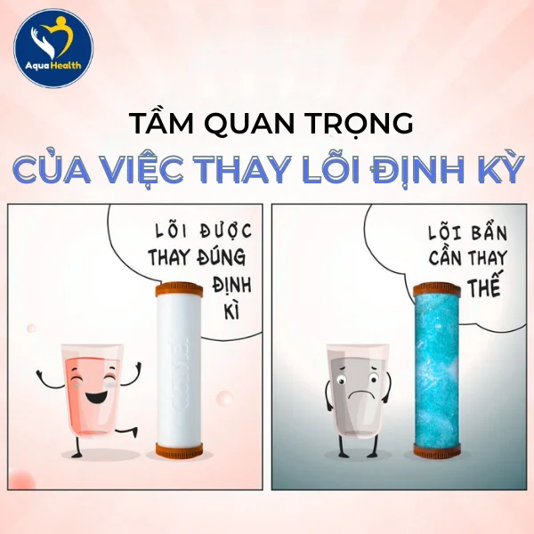 Lợi Ích Khi Thay Thế Bộ Lõi Lọc Chức Năng Mutosi Định Kỳ