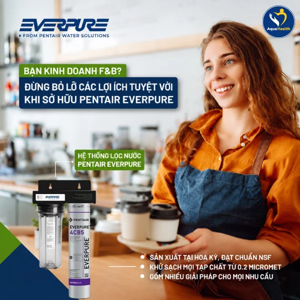 Các lợi ích quan trọng khi sử dụng máy lọc nước Pentair Everpure 4CB5
