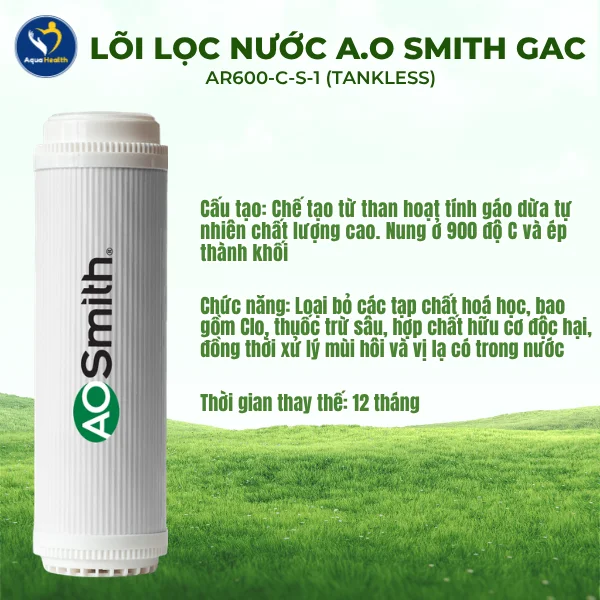 Bộ lõi lọc nước A.O Smith AR600-C-S-1 (TANKLESS) - Lõi lọc nước GAC