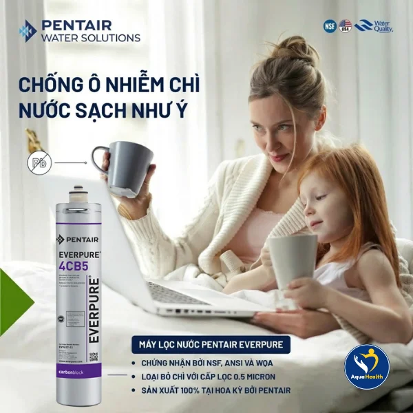 Lý do cần thay lõi lọc nước Pentair Everpure 4CB5 EV9617-11 đúng hạn