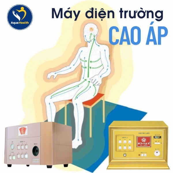 Máy điện trường cao áp