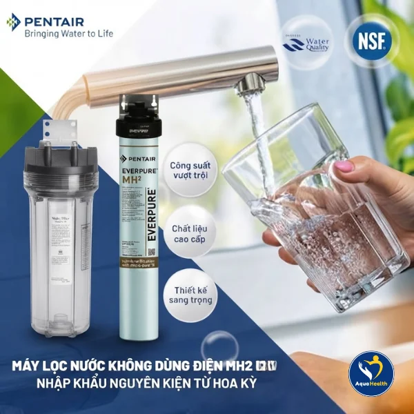 Máy lọc nước Pentair Everpure MH2 - Giải pháp lọc nước cho máy làm đá và doanh nghiệp F&B