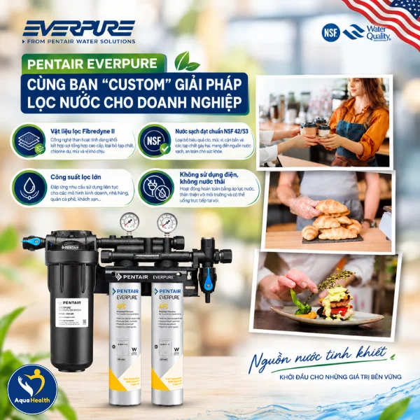 Máy lọc nước Pentair Everpure PF Twin QC7I 4FC - Giải pháp cho máy làm đá và ngành F&B