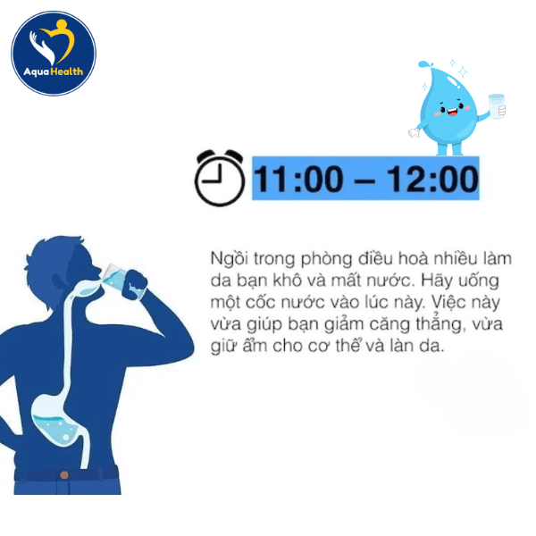 Mốc thời gian từ 11h-12h (Uống nước trước khi ăn trưa)