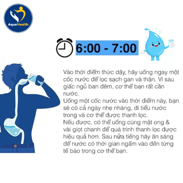 Mốc thời gian từ 6h-7h (Uống nước sau khi thức dậy)