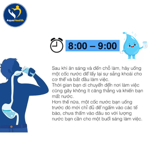 Mốc thời gian từ 8h-9h (Uống nước sau khi ăn sáng)