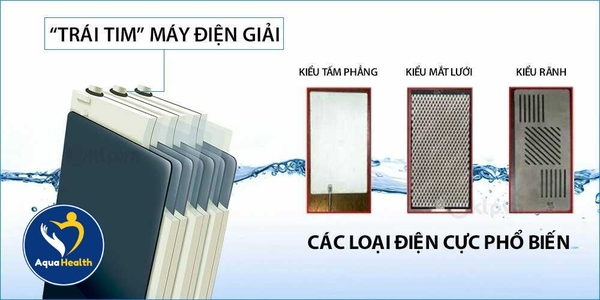 Các Loại Điện Cực Phổ Biến