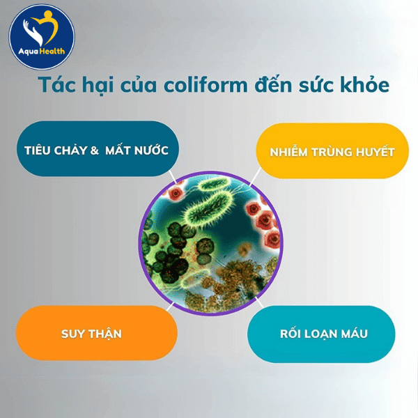 Nước giếng khoan chứa nhiều vi khuẩn gây bệnh E-Coli, Coliform