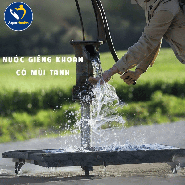 Nước giếng khoan dễ có mùi tanh khó chịu
