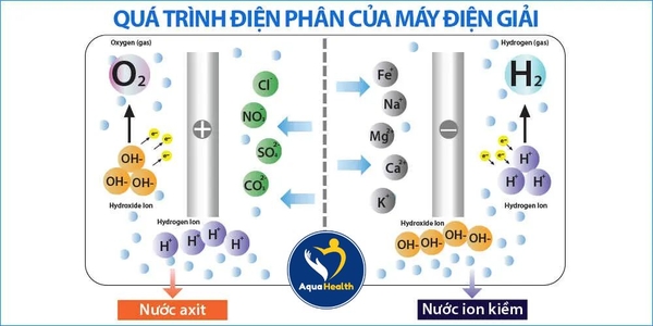 Quá Trình Điện Phân Của Máy Điện Giải