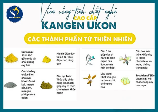Thành Phần Chính Của Viên Nghệ TURMERIC KANGEN UKON SIGMA