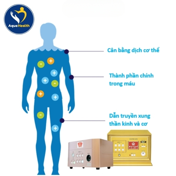 Thiết bị điện trường cao áp giúp cân bằng ion trong cơ thể