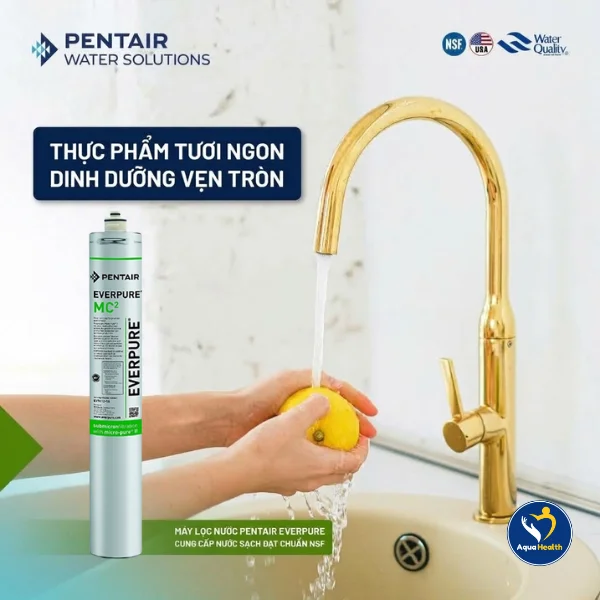 Lõi lọc nước Pentair Everpure MC2 - Tự động ngắt nước khi hết khả năng làm sạch