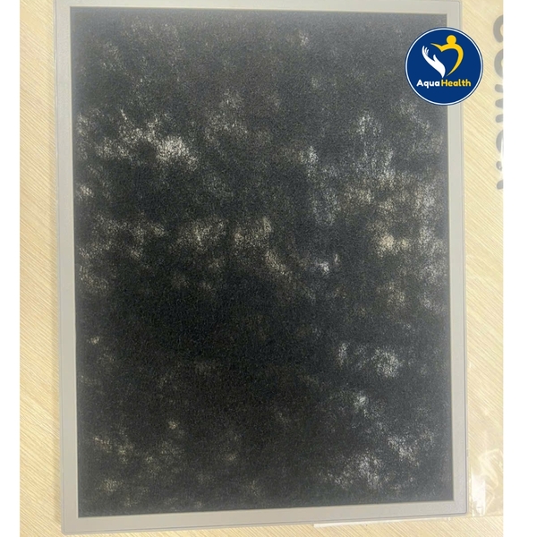 Hình Ảnh Thực Tế Màng Lọc Không Khí Coway APM-1010DH - Màng CF