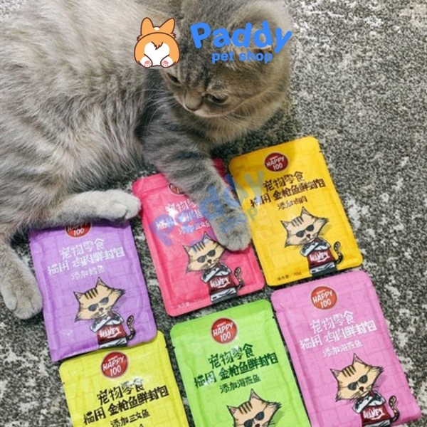 Pate Mèo Wanpy Happy 100 70g